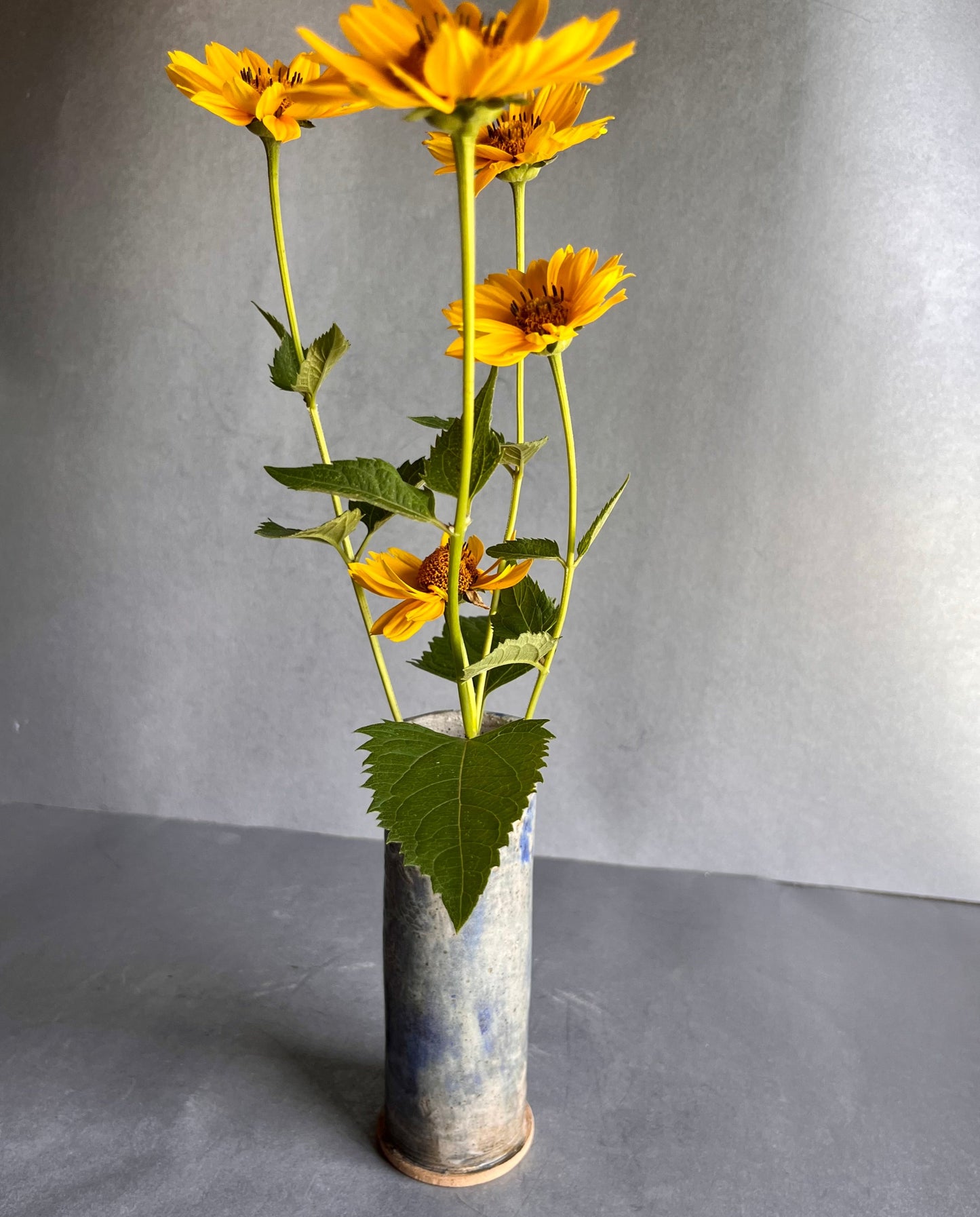 Flower Vase - blue turtle